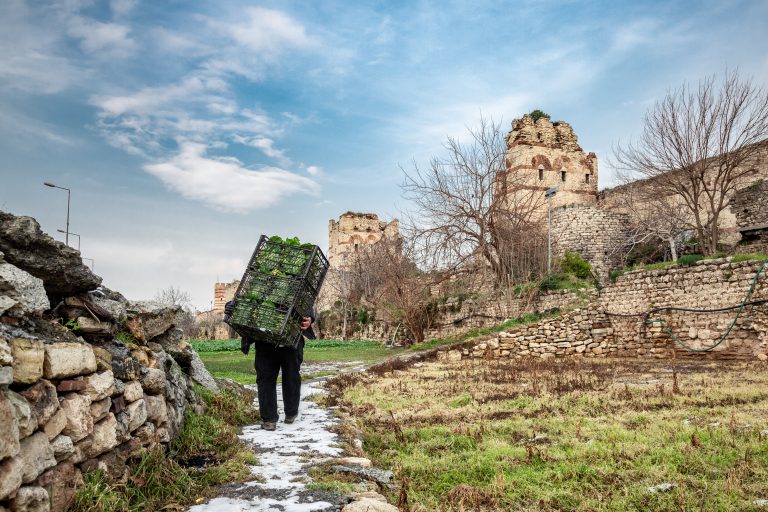 Çağrı İşbilir_298