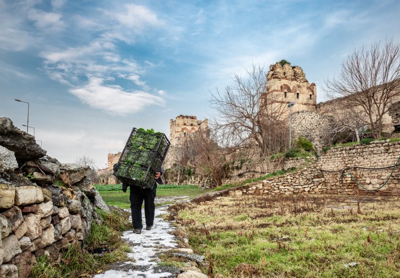 Çağrı İşbilir_298